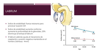 LABRUM
 Indice de estabilidad: fuerza necesaria para
provocar luxación GH
 Índice de estabilidad aumenta conforme
aumenta la profundidad de la glenoides; 20%
disminuye al extirpa el labrum
 El labrum además ayuda al mecanismo de
coaptación y presión negativa mantendia en el
hombro (Ventosa: -4mm)
 