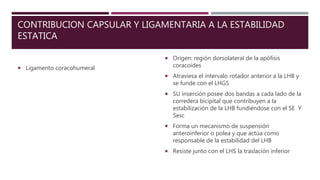 CONTRIBUCION CAPSULAR Y LIGAMENTARIA A LA ESTABILIDAD
ESTATICA
 Ligamento coracohumeral
 Origen: región dorsolateral de la apófisis
coracoides
 Atraviesa el intervalo rotador anterior a la LHB y
se funde con el LHGS
 SU inserción posee dos bandas a cada lado de la
corredera bicipital que contribuyen a la
estabilización de la LHB fundiéndose con el SE Y
Sesc
 Forma un mecanismo de suspensión
anteroinferior o polea y que actúa como
responsable de la estabilidad del LHB
 Resiste junto con el LHS la traslación inferior
 