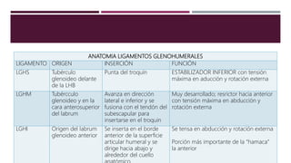ANATOMIA LIGAMENTOS GLENOHUMERALES
LIGAMENTO ORIGEN INSERCIÓN FUNCIÓN
LGHS Tubérculo
glenoideo delante
de la LHB
Punta del troquín ESTABILIZADOR INFERIOR con tensión
máxima en aducción y rotación externa
LGHM Tubércculo
glenoideo y en la
cara anterosuperior
del labrum
Avanza en dirección
lateral e inferior y se
fusiona con el tendón del
subescapular para
insertarse en el troquin
Muy desarrollado; resrictor hacia anterior
con tensión máxima en abducción y
rotación externa
LGHI Origen del labrum
glenoideo anterior
Se inserta en el borde
anterior de la superficie
articular humeral y se
dirige hacia abajo y
alrededor del cuello
Se tensa en abducción y rotación externa
Porción más importante de la “hamaca”
la anterior
 