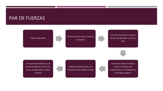 PAR DE FUERZAS
Cabeza /Glenoides
Par de fuerzas (2 pares: Coronal y
transverso)
Coronal: resulta de la suma de
fuerzas del deltoides vs IS, SC y
RM
Transverso: balance entre las
fuerzas resultantes del
subescapular y en infraespinoso
en sentido posterior
Imbalance de las fuerzas con
migración de la cabeza humeral
Al encontrarse alterado no se
encuentra balance en el centro
centro de glenoides y Cabeza
humeral
 