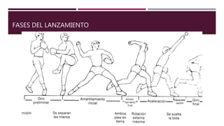 FASES DEL LANZAMIENTO
 