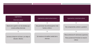 Ligamentos
interclaviculares
Restricción superior con dos bandas que
conecta ambas clavículas
Se tensa al deprimir el brazo y se relaja al
elevarlo ( flexión)
Ligamentos esternoclaviculares
Dos porciones; haz anterosuperior (más
fuerte) e inferior
Se insertan en la epífisis medial de la
clavícula
Ligamentos costoclaviculares
Dos componentes; anterior y posterior
Fibras anteriores restrictores superiores
Fibras posterioresresisten la rotación
inferior
 