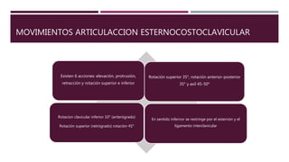 MOVIMIENTOS ARTICULACCION ESTERNOCOSTOCLAVICULAR
Existen 6 acciones: elevación, protrusión,
retracción y rotación superior e inferior
Rotación superior 35°, rotación anterior-posterior
35° y axil 45-50°
Rotacion clavicular inferior 10° (anterógrado)
Rotación superior (retrógrado) rotación 45°
En sentido inferiror se restringe por el esternón y el
ligamento interclavicular
 