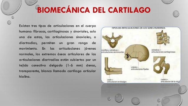 El adelgazamiento después de 60 años