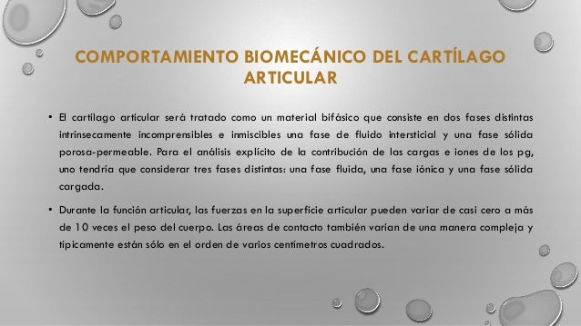 Mutabilidad biomecanica