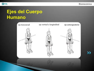 Biomecánica



Ejes del Cuerpo
Humano
 