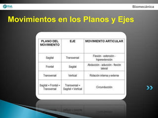 Biomecánica



Movimientos en los Planos y Ejes
 