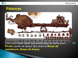Biomecánica


 Palancas




Una barra ideal rígida que puede girar en torno a un
Pivote (punto de apoyo fijo) entre el Brazo de
resistencia, Brazo de fuerza
 