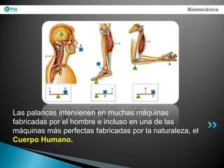Biomecánica




Las palancas intervienen en muchas máquinas
fabricadas por el hombre e incluso en una de las
máquinas más perfectas fabricadas por la naturaleza, el
Cuerpo Humano.
 