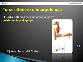 Biomecánica


Tercer Género o interpotencia
Fuerza potencia se sitúa entre la fuerza
resistencia y el apoyo.




  Ej. Articulación del Codo
 