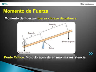 Biomecánica


Momento de Fuerza
Momento de Fuerza= fuerza x brazo de palanca




Punto Crítico: Músculo agonista en máxima resistencia
 