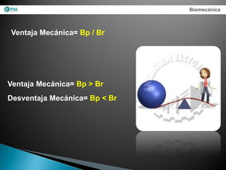 Biomecánica



Ventaja Mecánica= Bp / Br




Ventaja Mecánica= Bp > Br
Desventaja Mecánica= Bp < Br
 