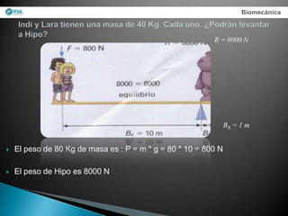 Biomecánica



                                                          R = 8000 N




                                                                BR = 1 m


   El peso de 80 Kg de masa es : P = m * g = 80 * 10 = 800 N

   El peso de Hipo es 8000 N
 