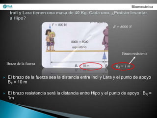 Biomecánica




                                                           R = 8000 N




                                                                Brazo resistente

    Brazo de la fuerza
                                                             BR = 1 m

   El brazo de la fuerza sea la distancia entre Indi y Lara y el punto de apoyo
    BF = 10 m

   El brazo resistencia será la distancia entre Hipo y el punto de apoyo BR =
    1m
 