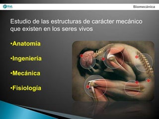 Biomecánica



Estudio de las estructuras de carácter mecánico
que existen en los seres vivos

•Anatomía

•Ingeniería

•Mecánica

•Fisiología
 