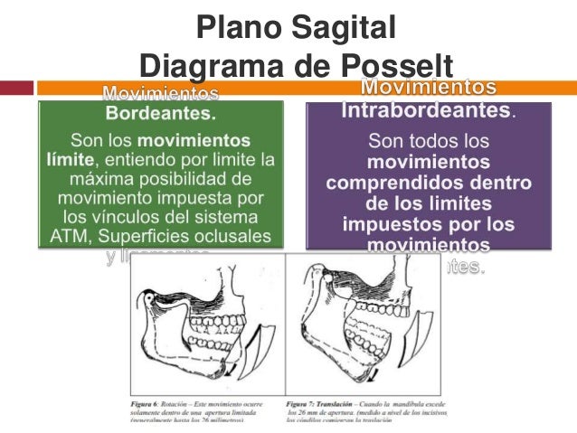 Biomecanica mandibular
