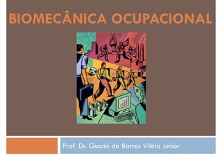 BIOMECÂNICA OCUPACIONAL
Prof. Dr. Guanis de Barros Vilela Junior
 