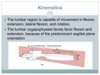 Biomech lumbar spine | PPTX