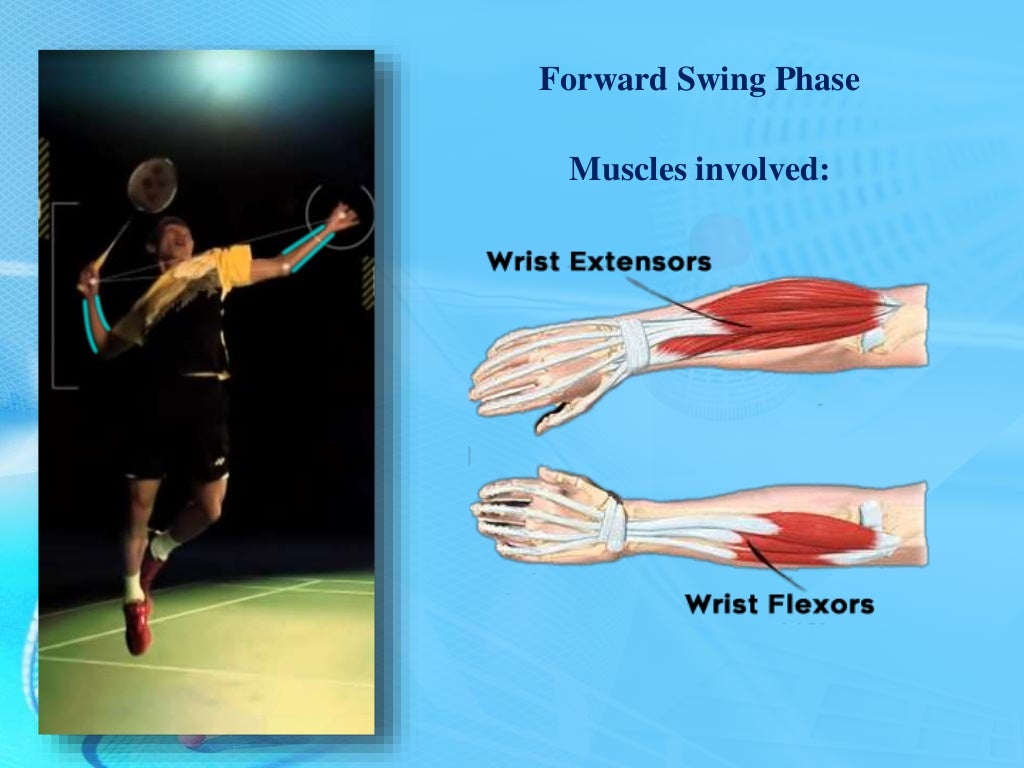 Biomechanical Analysis of a Badminton Jump Smash