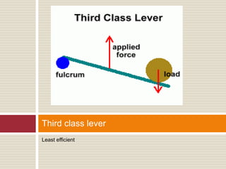 Least efficient
Third class lever
 