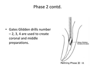 Phase 2 contd.
• Gates Glidden drills number
– 2, 3, 4 are used to create
coronal and middle
preparations.
 