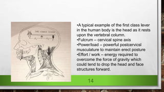 14
•A typical example of the first class lever
in the human body is the head as it rests
upon the vertebral column.
•Fulcrum – cervical spine axis
•Power/load – powerful postcervicsl
musculature to maintain erect posture
•Effort / work – energy required to
overcome the force of gravity which
could tend to drop the head and face
structures forward.
 