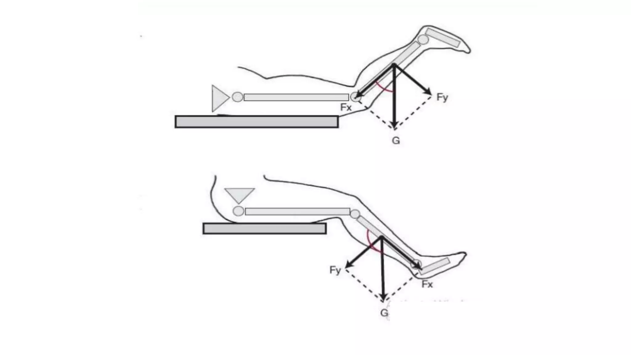 Biomechanical Applications to Joint Structure and Function