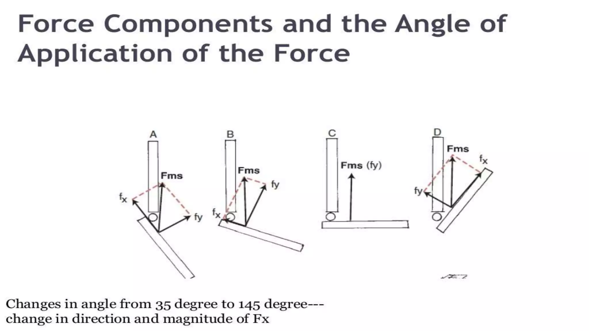 Biomechanical Applications to Joint Structure and Function