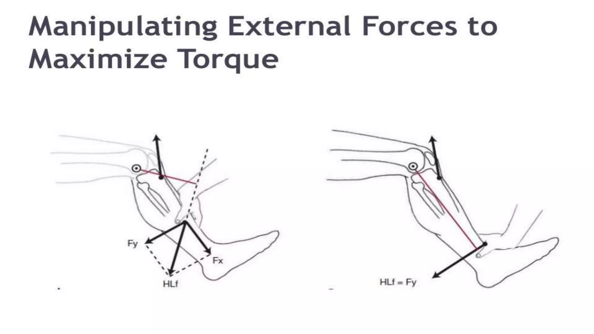 Biomechanical Applications to Joint Structure and Function