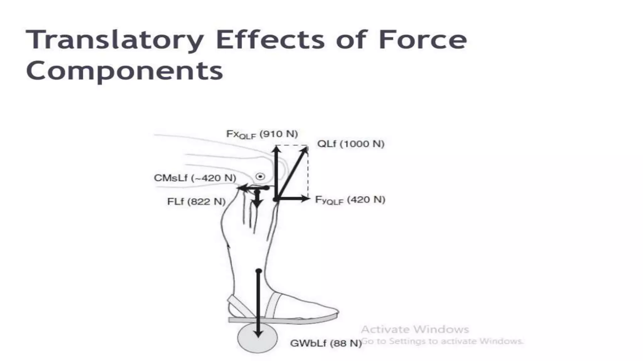 Biomechanical Applications to Joint Structure and Function