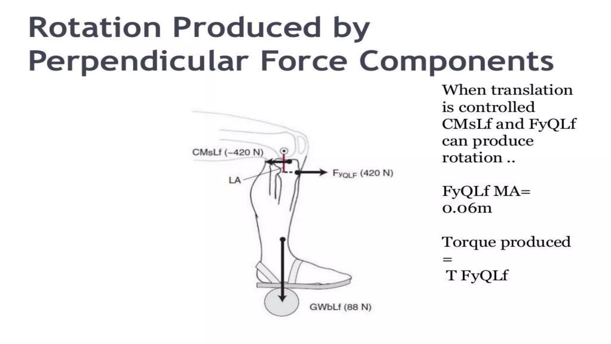 Biomechanical Applications to Joint Structure and Function