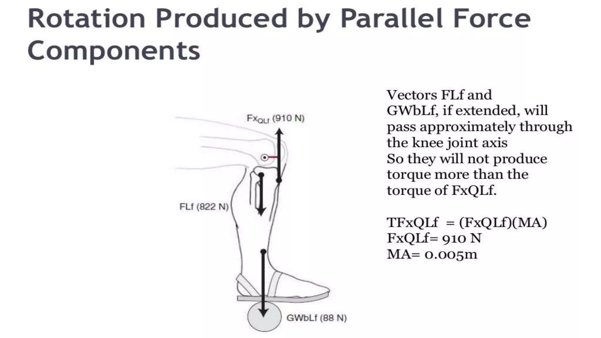 Biomechanical Applications to Joint Structure and Function