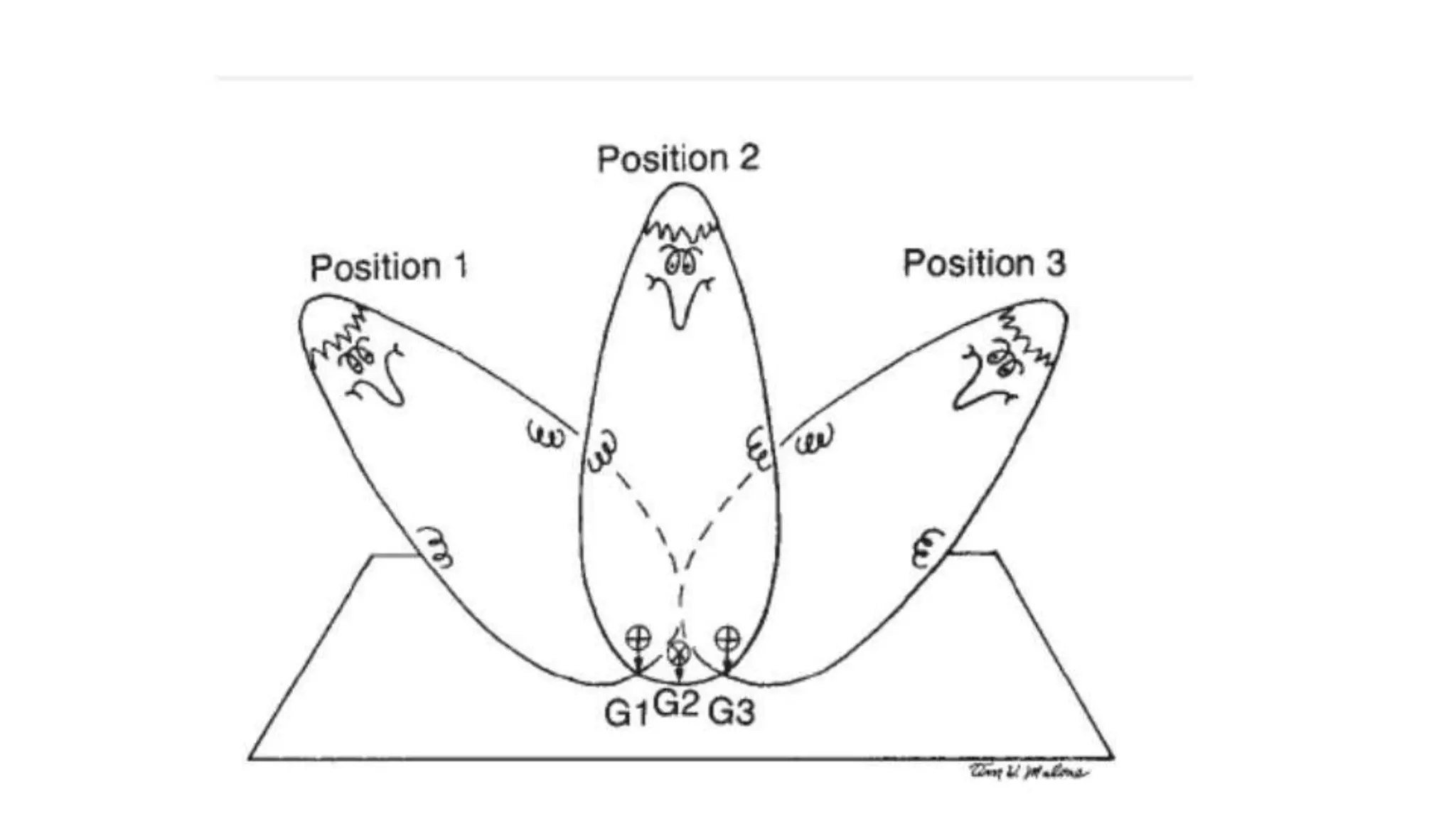 Biomechanical Applications to Joint Structure and Function