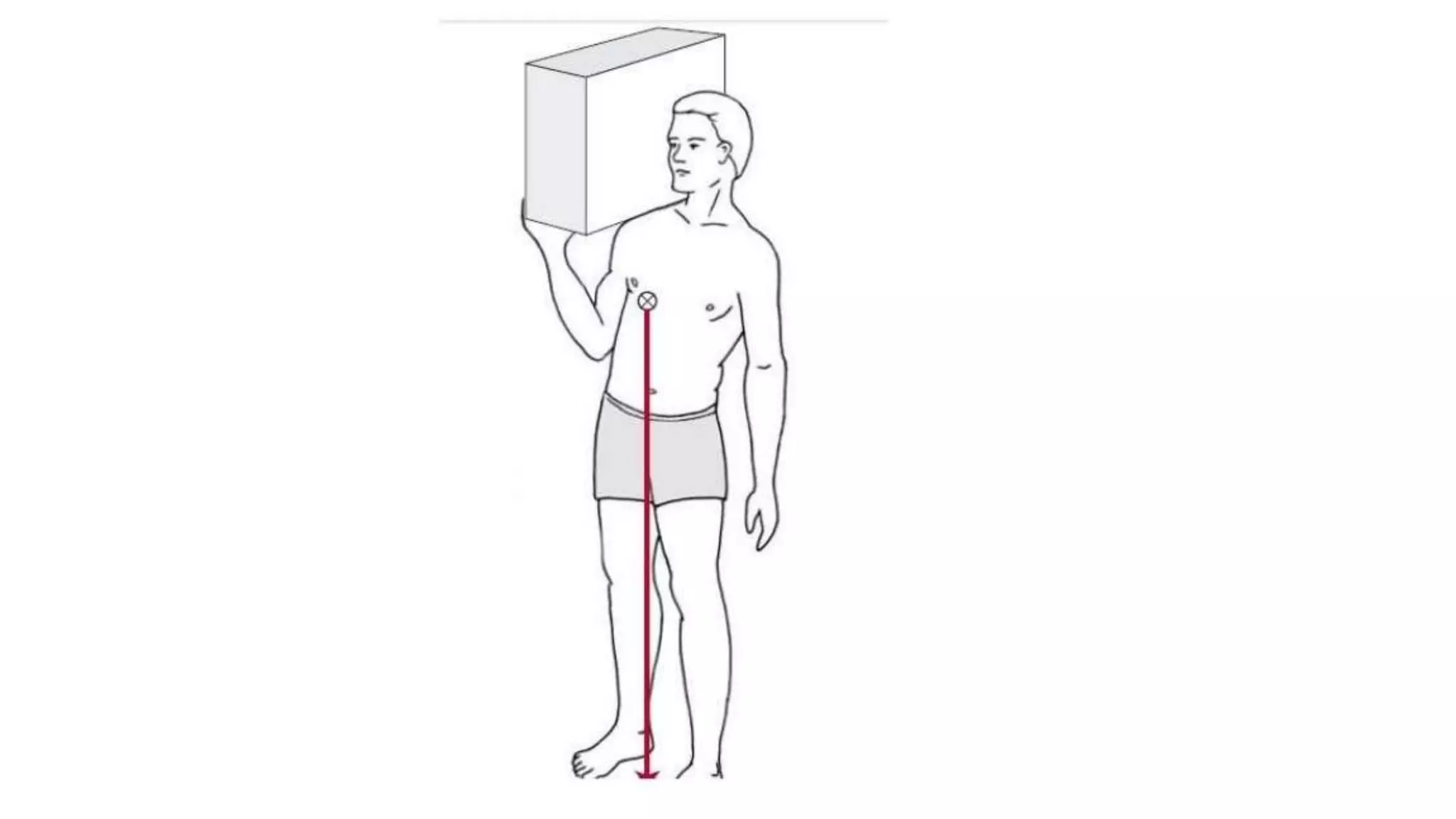 Biomechanical Applications to Joint Structure and Function