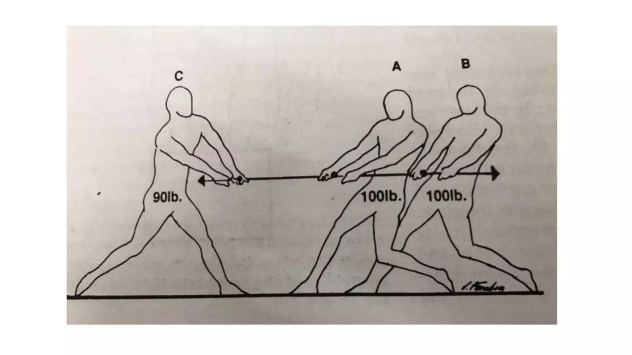 Biomechanical Applications to Joint Structure and Function