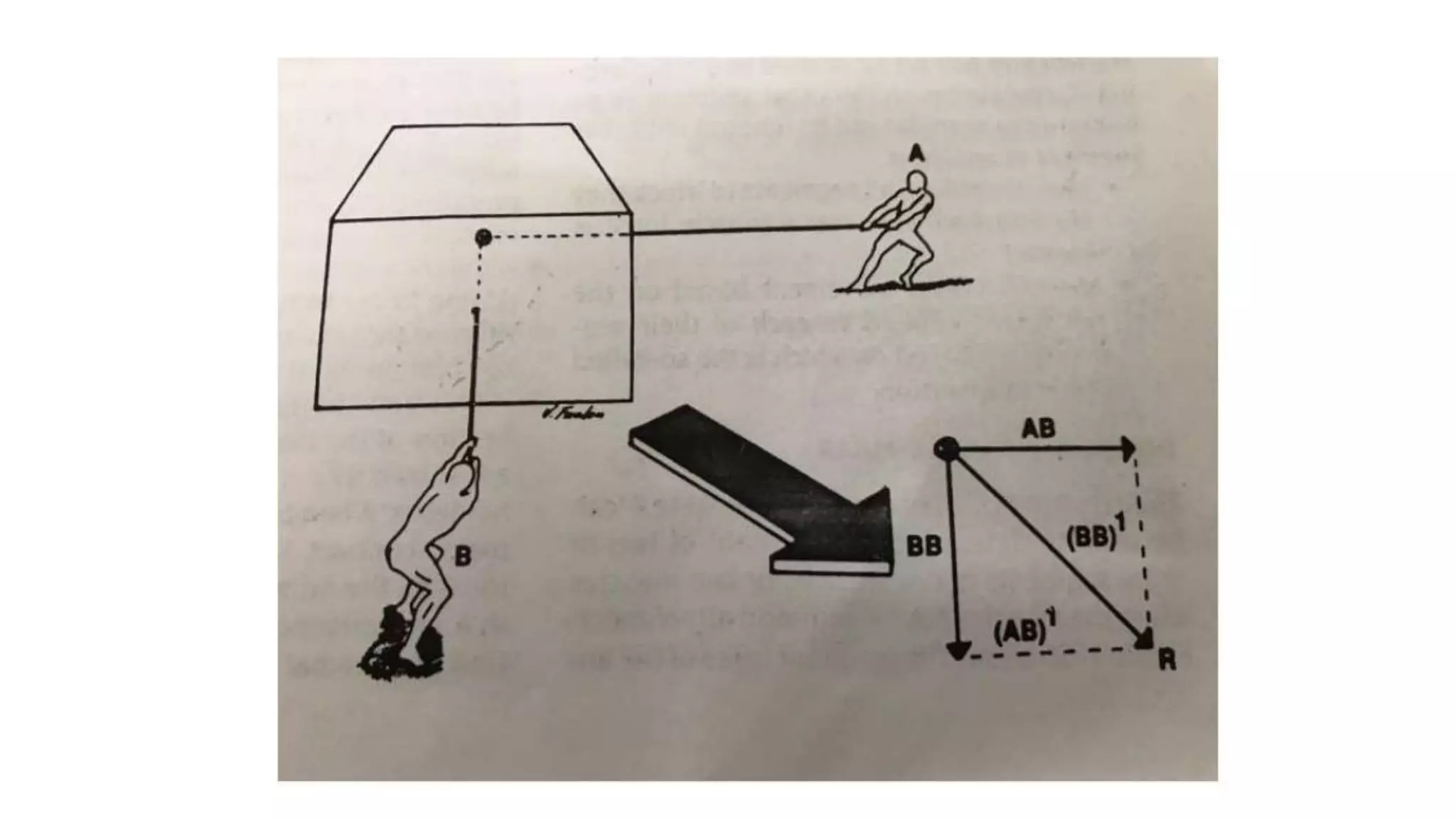 Biomechanical Applications to Joint Structure and Function