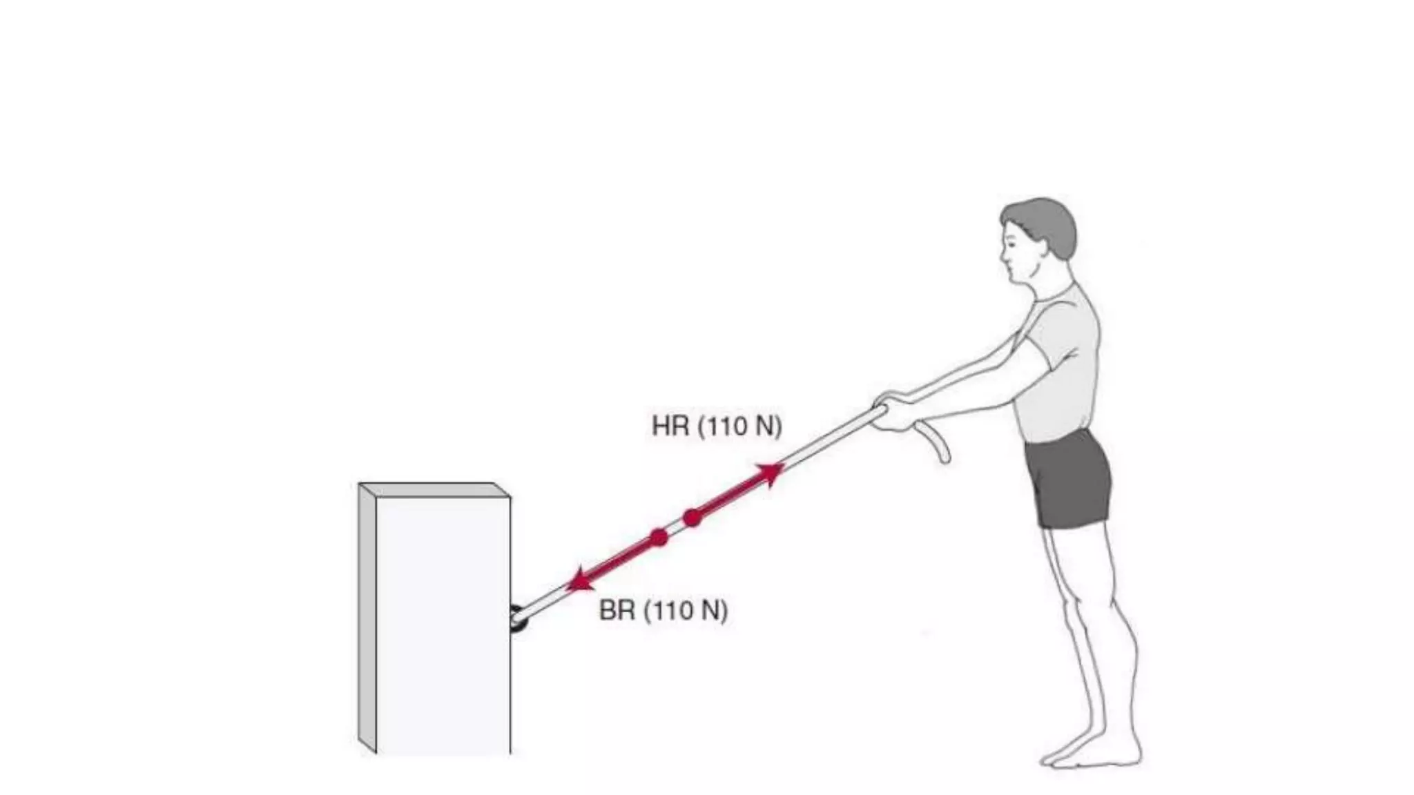 Biomechanical Applications to Joint Structure and Function