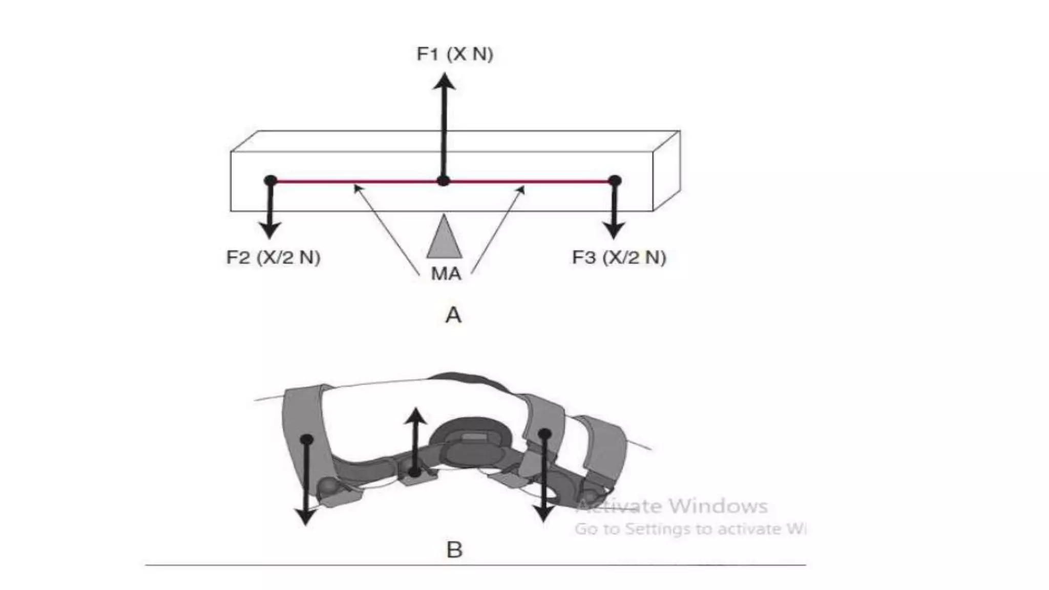 Biomechanical Applications to Joint Structure and Function