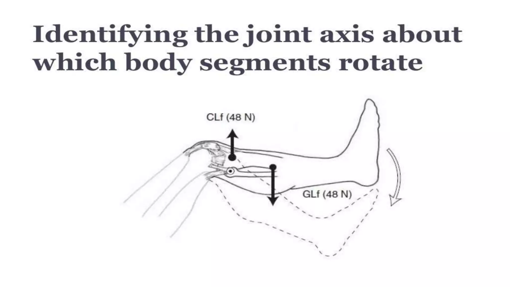 Biomechanical Applications to Joint Structure and Function