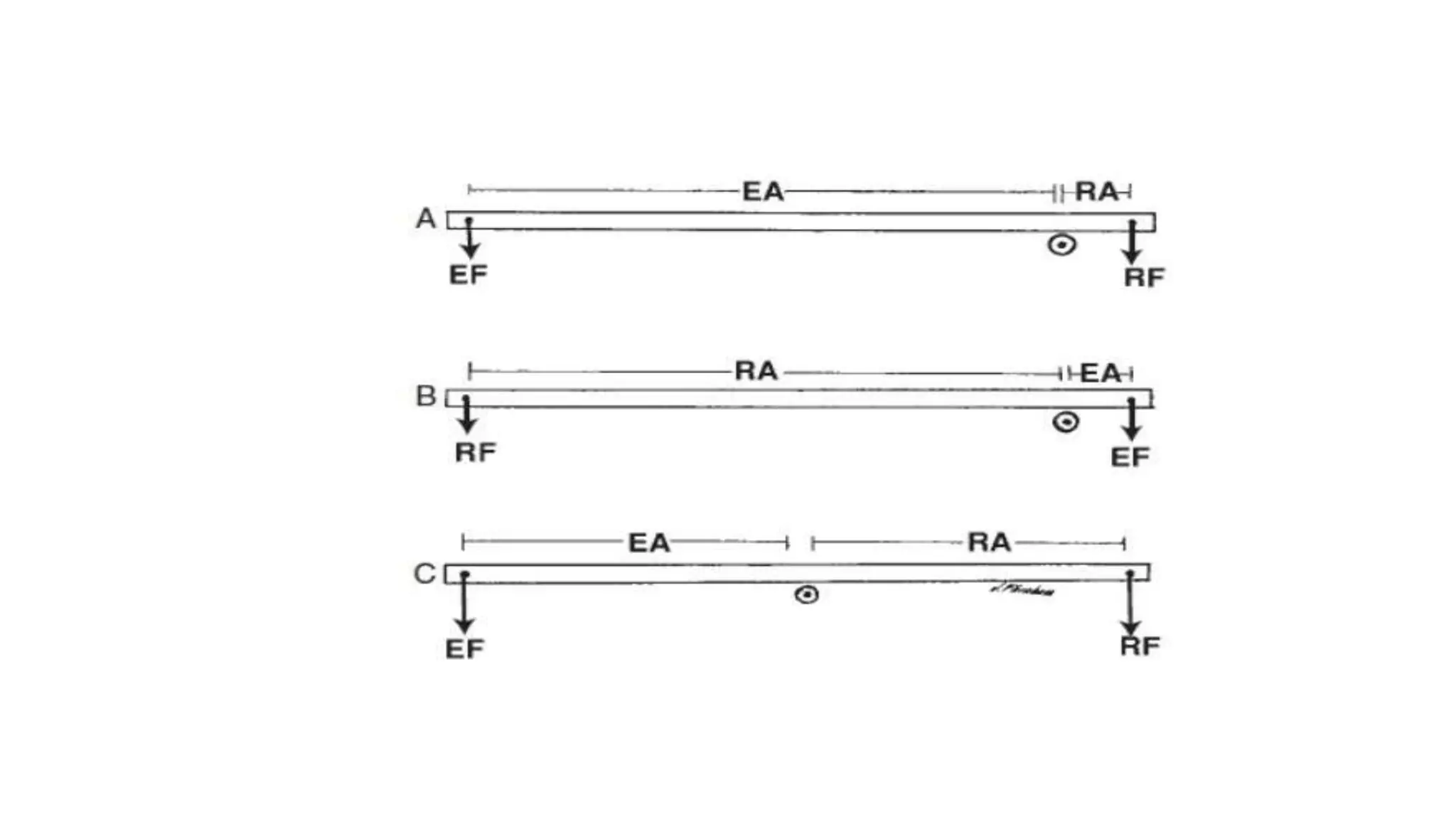 Biomechanical Applications to Joint Structure and Function