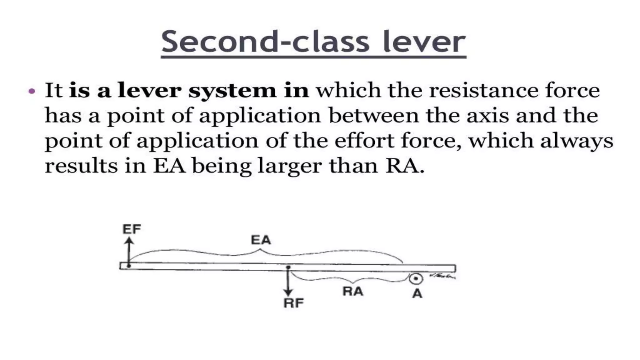 Biomechanical Applications to Joint Structure and Function