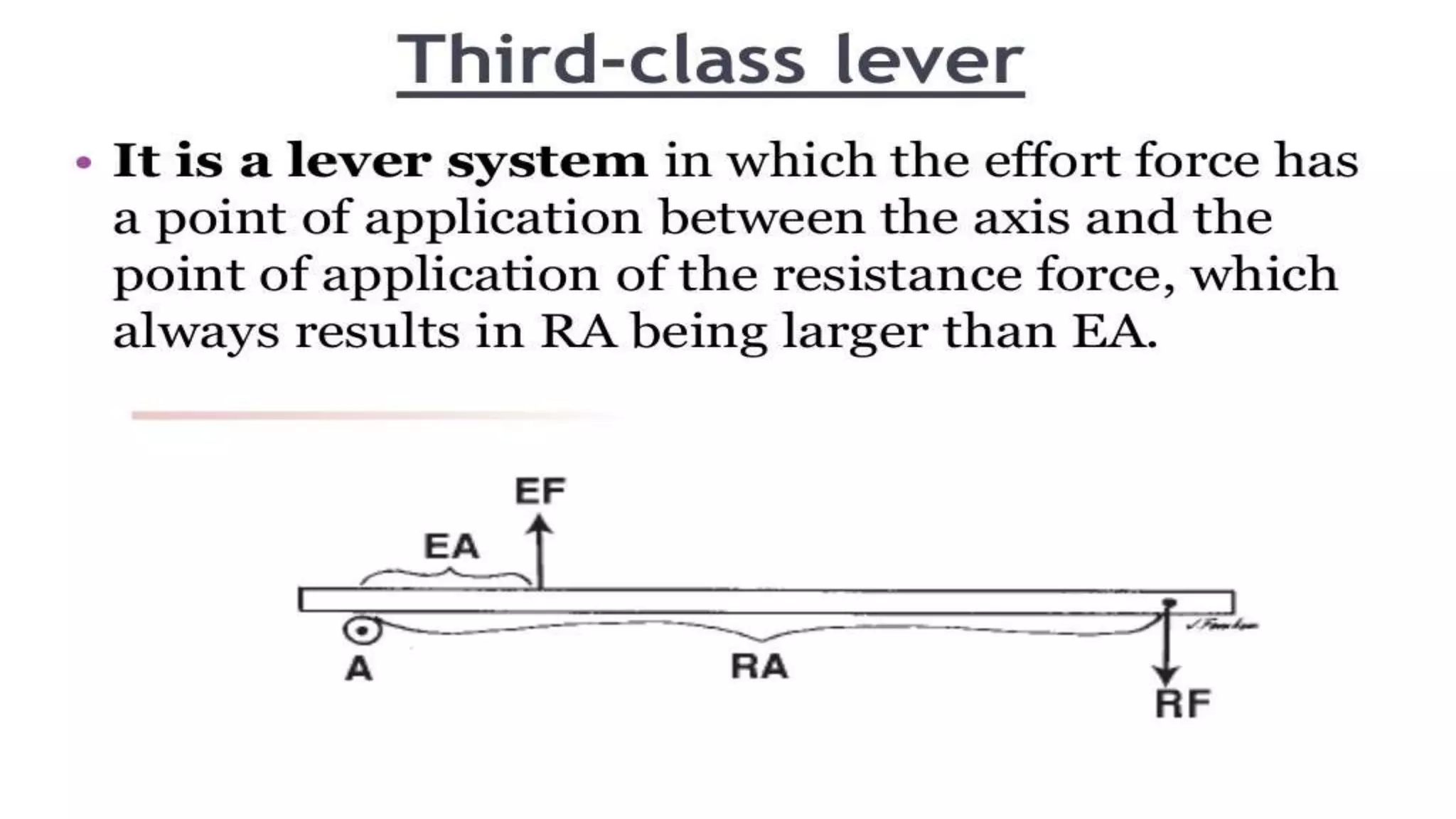 Biomechanical Applications to Joint Structure and Function