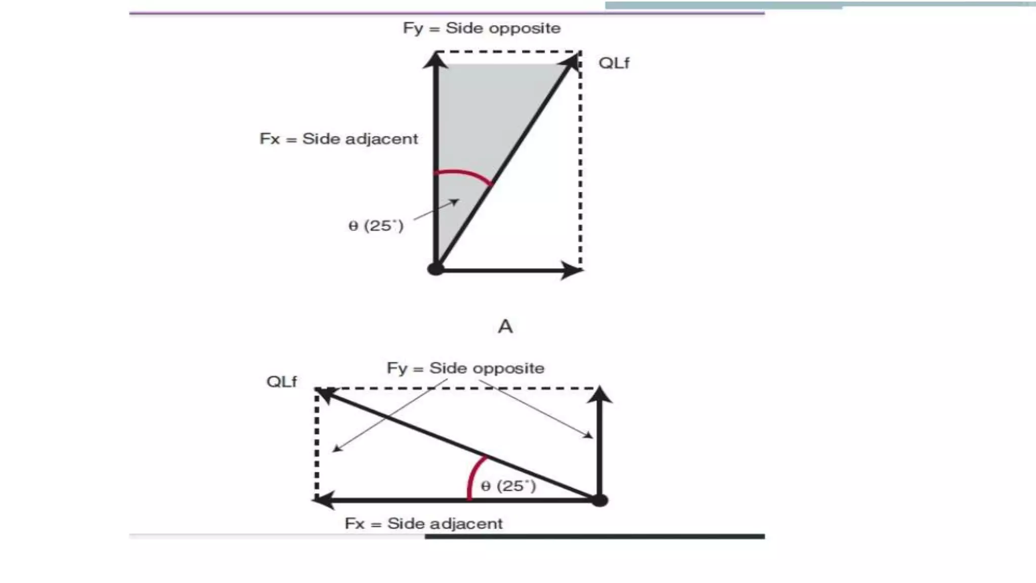 Biomechanical Applications to Joint Structure and Function