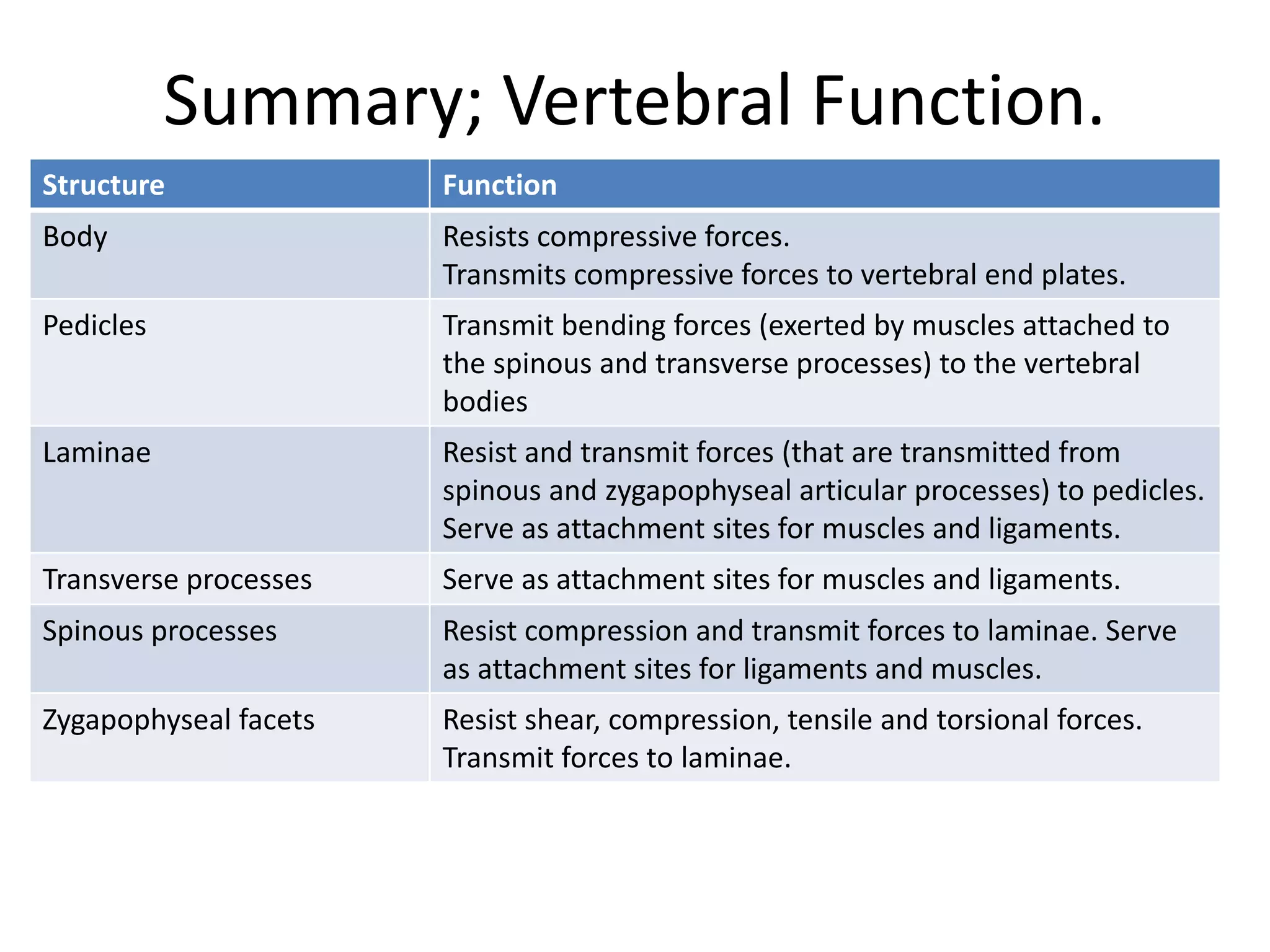 Summary; Vertebral Function.
Structure Function
Body Resists compressive forces.
Transmits compressive forces to vertebral end plates.
Pedicles Transmit bending forces (exerted by muscles attached to
the spinous and transverse processes) to the vertebral
bodies
Laminae Resist and transmit forces (that are transmitted from
spinous and zygapophyseal articular processes) to pedicles.
Serve as attachment sites for muscles and ligaments.
Transverse processes Serve as attachment sites for muscles and ligaments.
Spinous processes Resist compression and transmit forces to laminae. Serve
as attachment sites for ligaments and muscles.
Zygapophyseal facets Resist shear, compression, tensile and torsional forces.
Transmit forces to laminae.
 