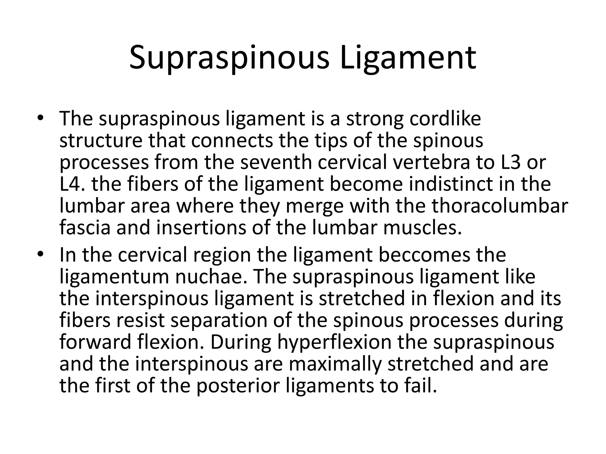 Supraspinous Ligament
• The supraspinous ligament is a strong cordlike
structure that connects the tips of the spinous
processes from the seventh cervical vertebra to L3 or
L4. the fibers of the ligament become indistinct in the
lumbar area where they merge with the thoracolumbar
fascia and insertions of the lumbar muscles.
• In the cervical region the ligament beccomes the
ligamentum nuchae. The supraspinous ligament like
the interspinous ligament is stretched in flexion and its
fibers resist separation of the spinous processes during
forward flexion. During hyperflexion the supraspinous
and the interspinous are maximally stretched and are
the first of the posterior ligaments to fail.
 
