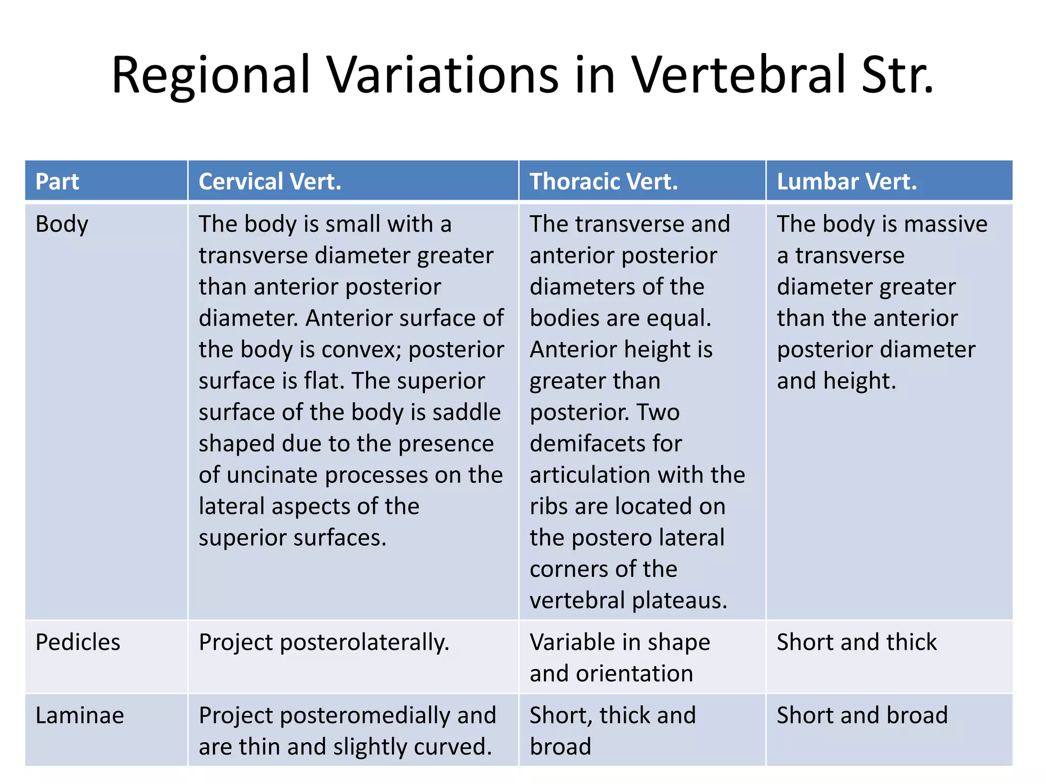 Regional Variations in Vertebral Str.
Part Cervical Vert. Thoracic Vert. Lumbar Vert.
Body The body is small with a
transverse diameter greater
than anterior posterior
diameter. Anterior surface of
the body is convex; posterior
surface is flat. The superior
surface of the body is saddle
shaped due to the presence
of uncinate processes on the
lateral aspects of the
superior surfaces.
The transverse and
anterior posterior
diameters of the
bodies are equal.
Anterior height is
greater than
posterior. Two
demifacets for
articulation with the
ribs are located on
the postero lateral
corners of the
vertebral plateaus.
The body is massive
a transverse
diameter greater
than the anterior
posterior diameter
and height.
Pedicles Project posterolaterally. Variable in shape
and orientation
Short and thick
Laminae Project posteromedially and
are thin and slightly curved.
Short, thick and
broad
Short and broad
 