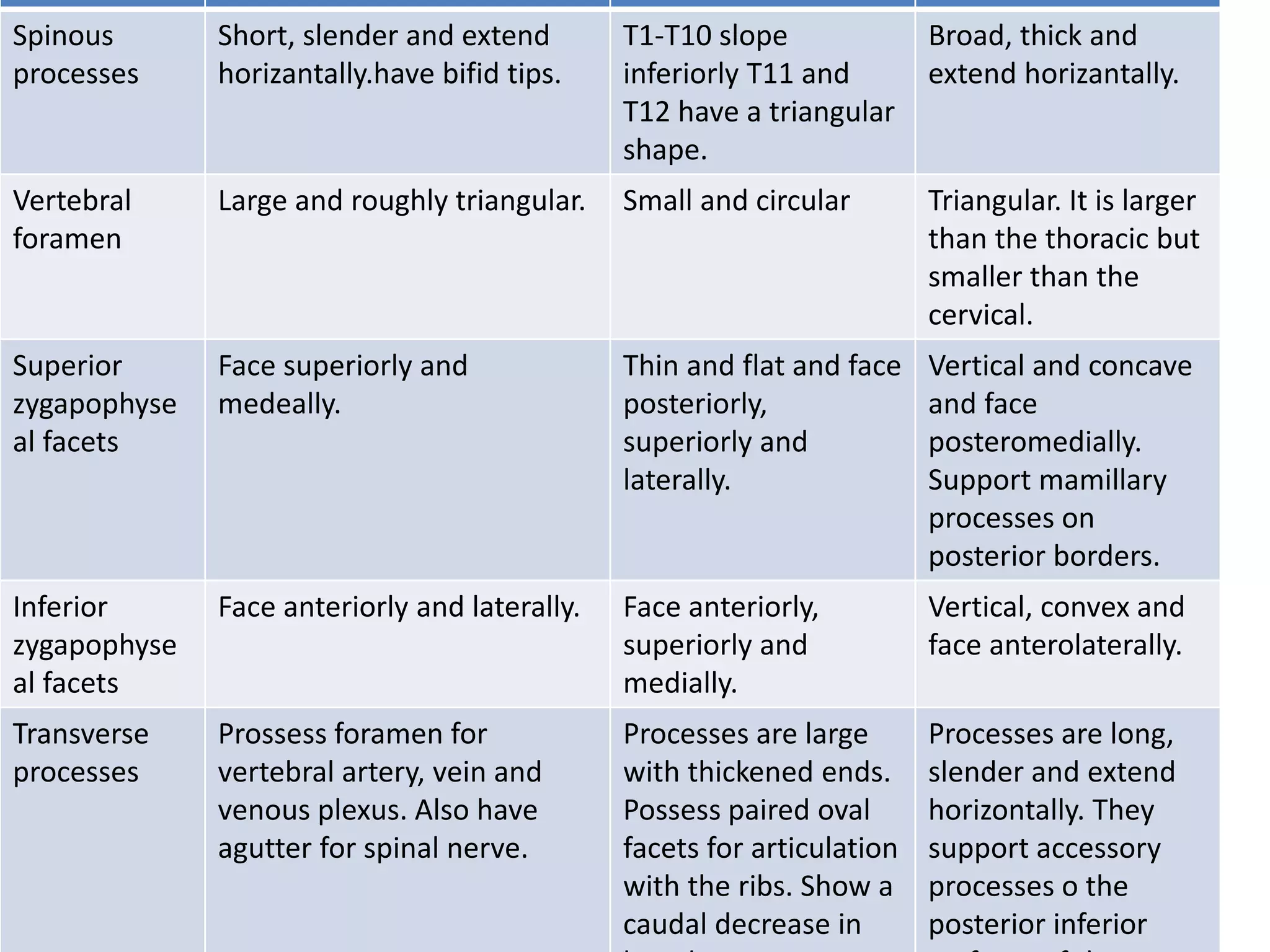Spinous
processes
Short, slender and extend
horizantally.have bifid tips.
T1-T10 slope
inferiorly T11 and
T12 have a triangular
shape.
Broad, thick and
extend horizantally.
Vertebral
foramen
Large and roughly triangular. Small and circular Triangular. It is larger
than the thoracic but
smaller than the
cervical.
Superior
zygapophyse
al facets
Face superiorly and
medeally.
Thin and flat and face
posteriorly,
superiorly and
laterally.
Vertical and concave
and face
posteromedially.
Support mamillary
processes on
posterior borders.
Inferior
zygapophyse
al facets
Face anteriorly and laterally. Face anteriorly,
superiorly and
medially.
Vertical, convex and
face anterolaterally.
Transverse
processes
Prossess foramen for
vertebral artery, vein and
venous plexus. Also have
agutter for spinal nerve.
Processes are large
with thickened ends.
Possess paired oval
facets for articulation
with the ribs. Show a
caudal decrease in
Processes are long,
slender and extend
horizontally. They
support accessory
processes o the
posterior inferior
 