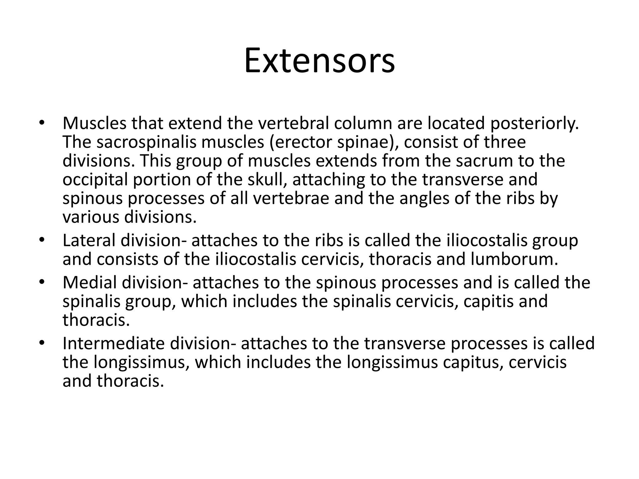 Extensors
• Muscles that extend the vertebral column are located posteriorly.
The sacrospinalis muscles (erector spinae), consist of three
divisions. This group of muscles extends from the sacrum to the
occipital portion of the skull, attaching to the transverse and
spinous processes of all vertebrae and the angles of the ribs by
various divisions.
• Lateral division- attaches to the ribs is called the iliocostalis group
and consists of the iliocostalis cervicis, thoracis and lumborum.
• Medial division- attaches to the spinous processes and is called the
spinalis group, which includes the spinalis cervicis, capitis and
thoracis.
• Intermediate division- attaches to the transverse processes is called
the longissimus, which includes the longissimus capitus, cervicis
and thoracis.
 
