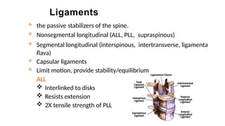 biomechanic human spine and anatomy.pptx