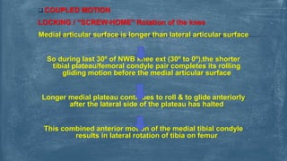knee joint biomechanics 2nd BPTH Kinesiology | PPTX